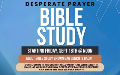 Desperate Prayer Bible Study